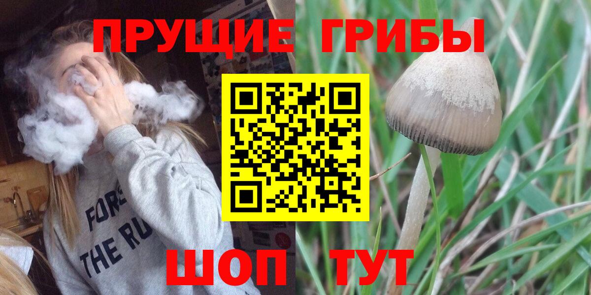 Нововоронеж  Псилоцибиновые грибы прущие грибы  хочу наркоту  Вход с VPN  Галлюциногенные грибы Cubensis 
