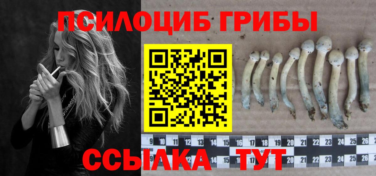 ТГК Нововоронеж
